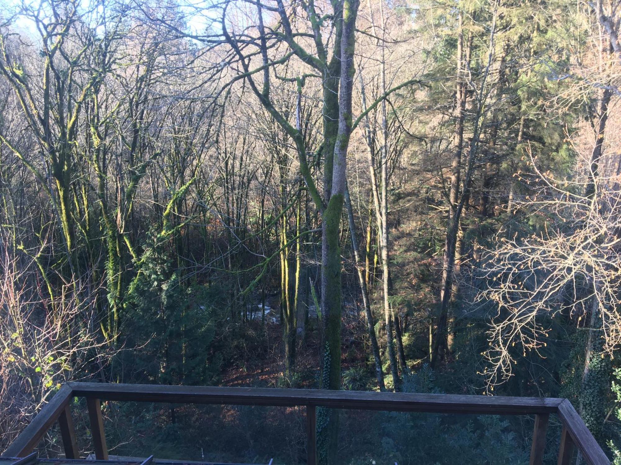 Creekside City Center Suite North Vancouver Esterno foto