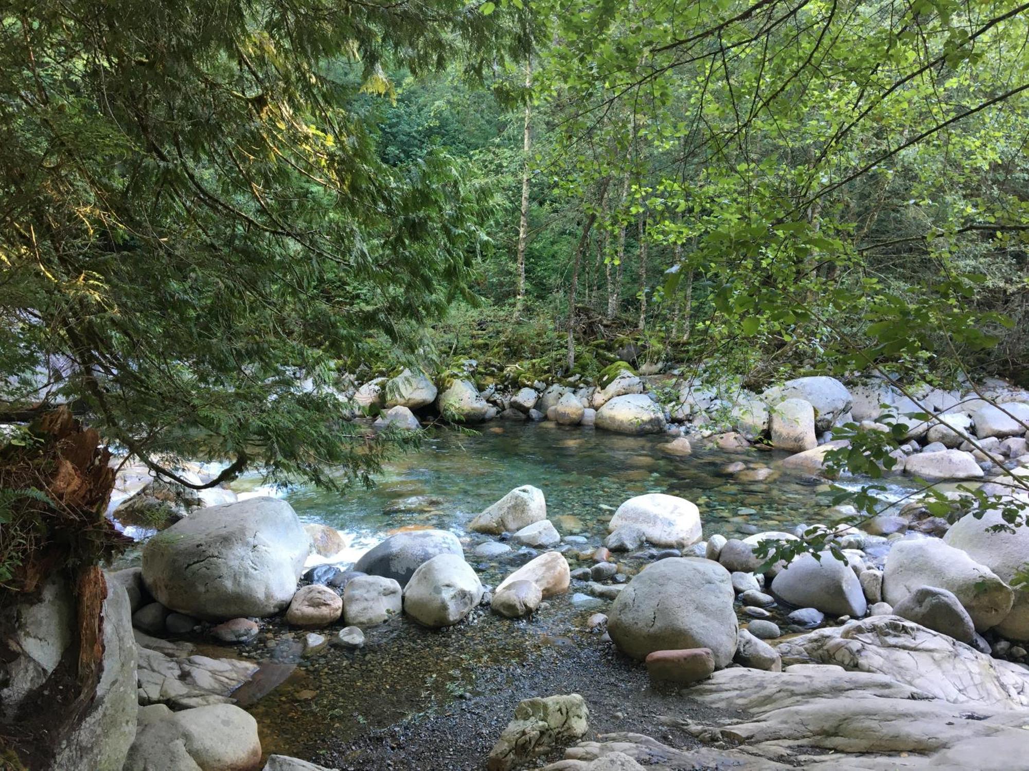 Creekside City Center Suite North Vancouver Esterno foto